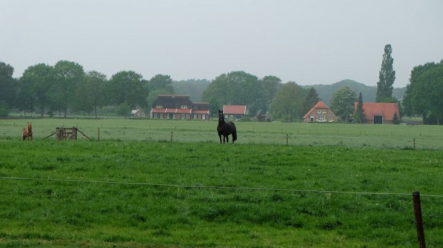 Dauwtrappen (donderdag 10 mei 2018)